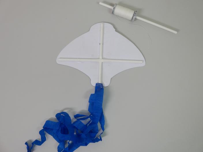 Back of Pirate Mini Kite